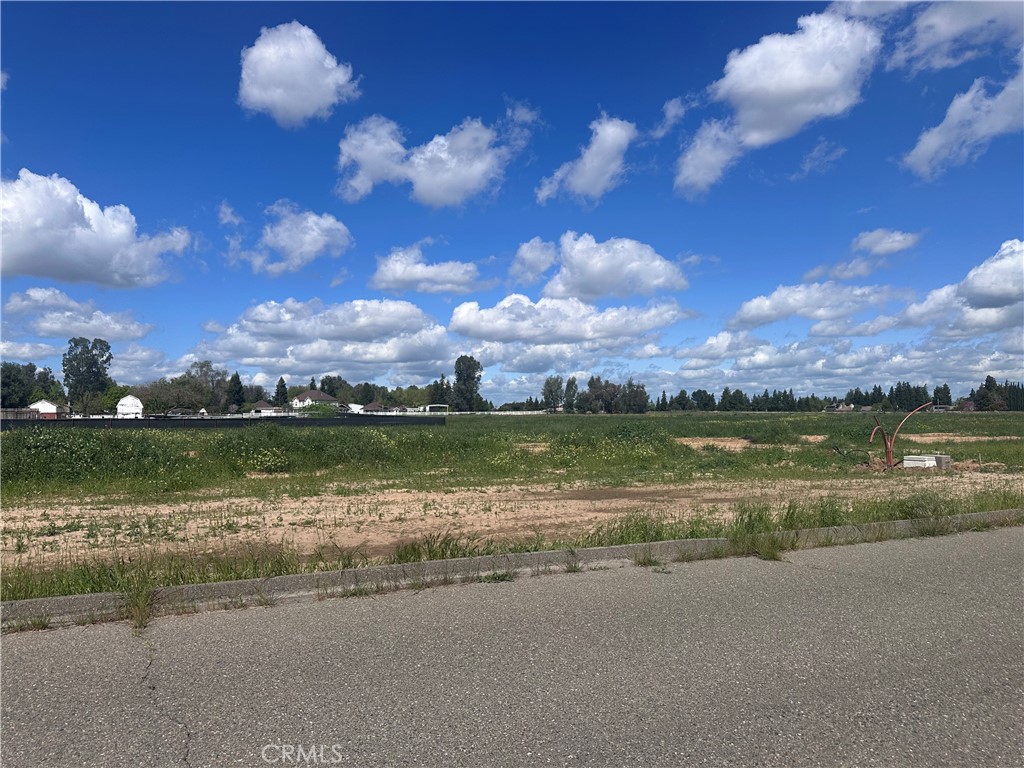 1 White Crane Road Atwater, CA 95301 - Photo 4 of 6