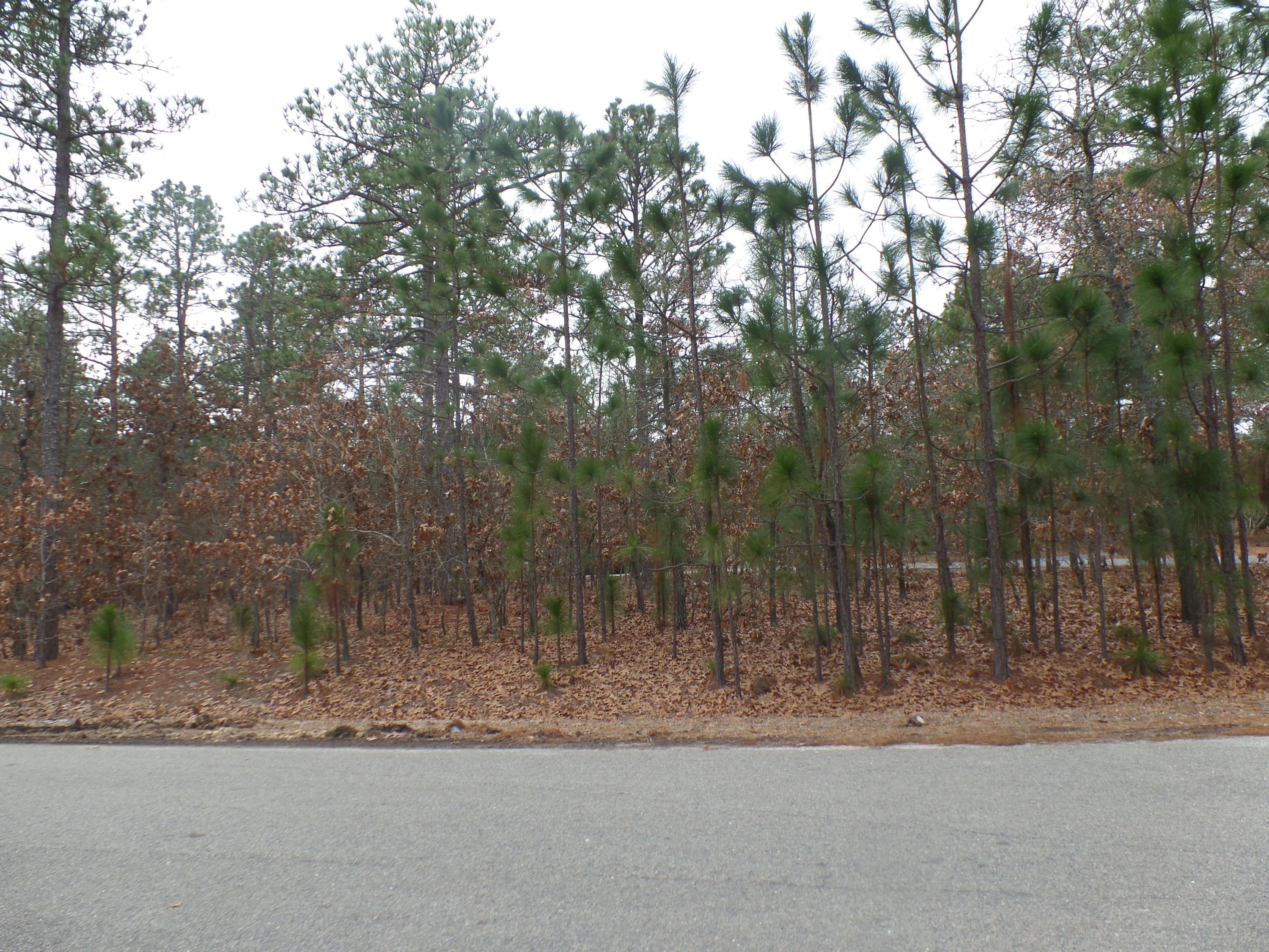 Tbd Longleaf Road Southern Pines, NC 28387 - Photo 2 of 10 SAM_8693
