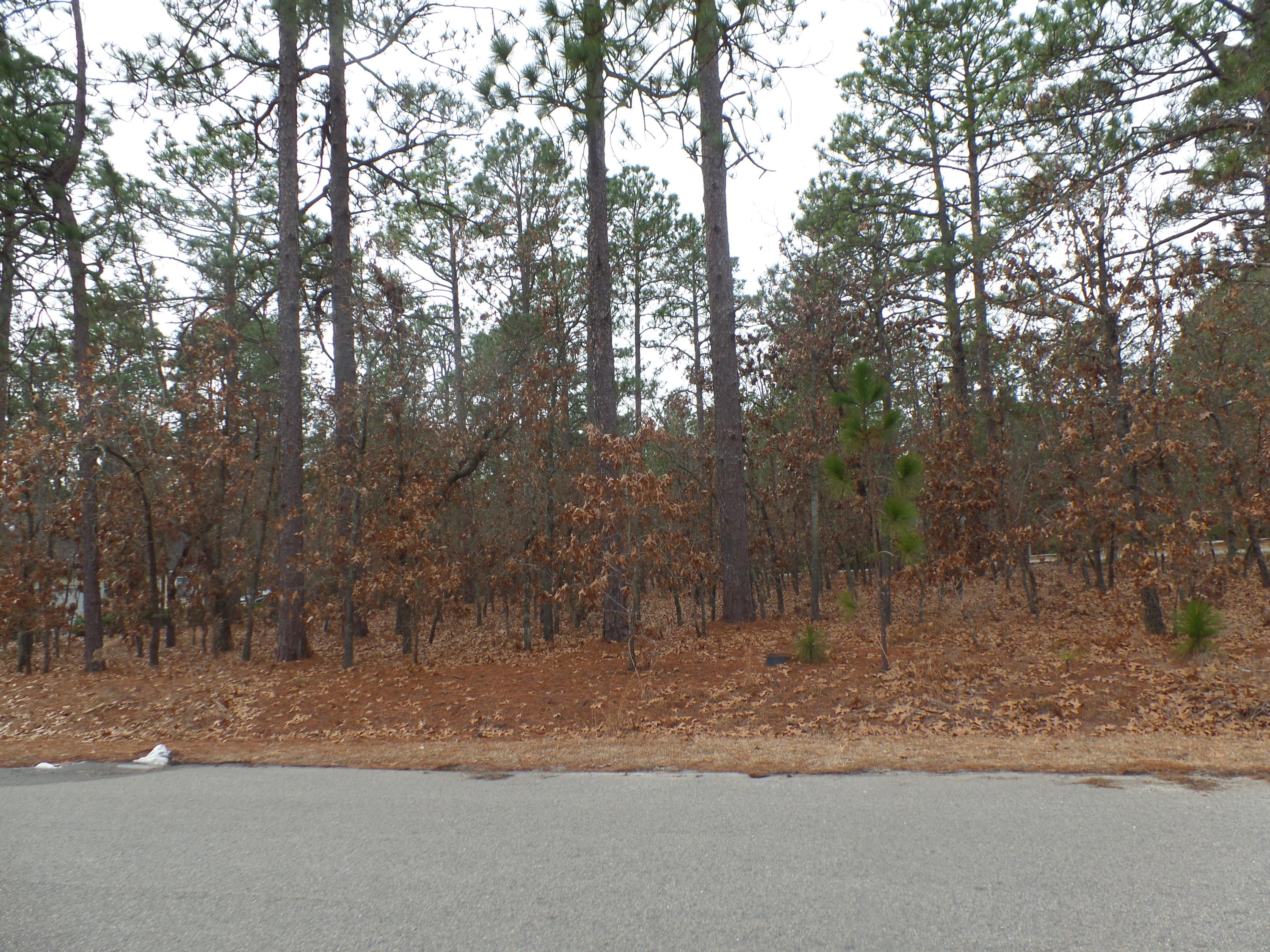 Tbd Longleaf Road Southern Pines, NC 28387 - Photo 3 of 10 SAM_8694
