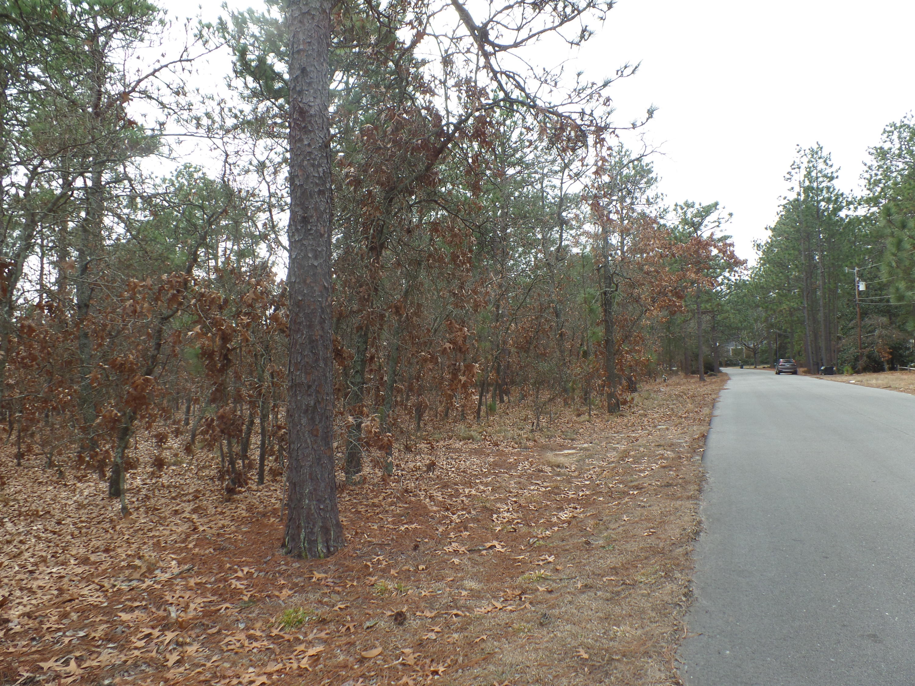Tbd Longleaf Road Southern Pines, NC 28387 - Photo 4 of 10 SAM_8695