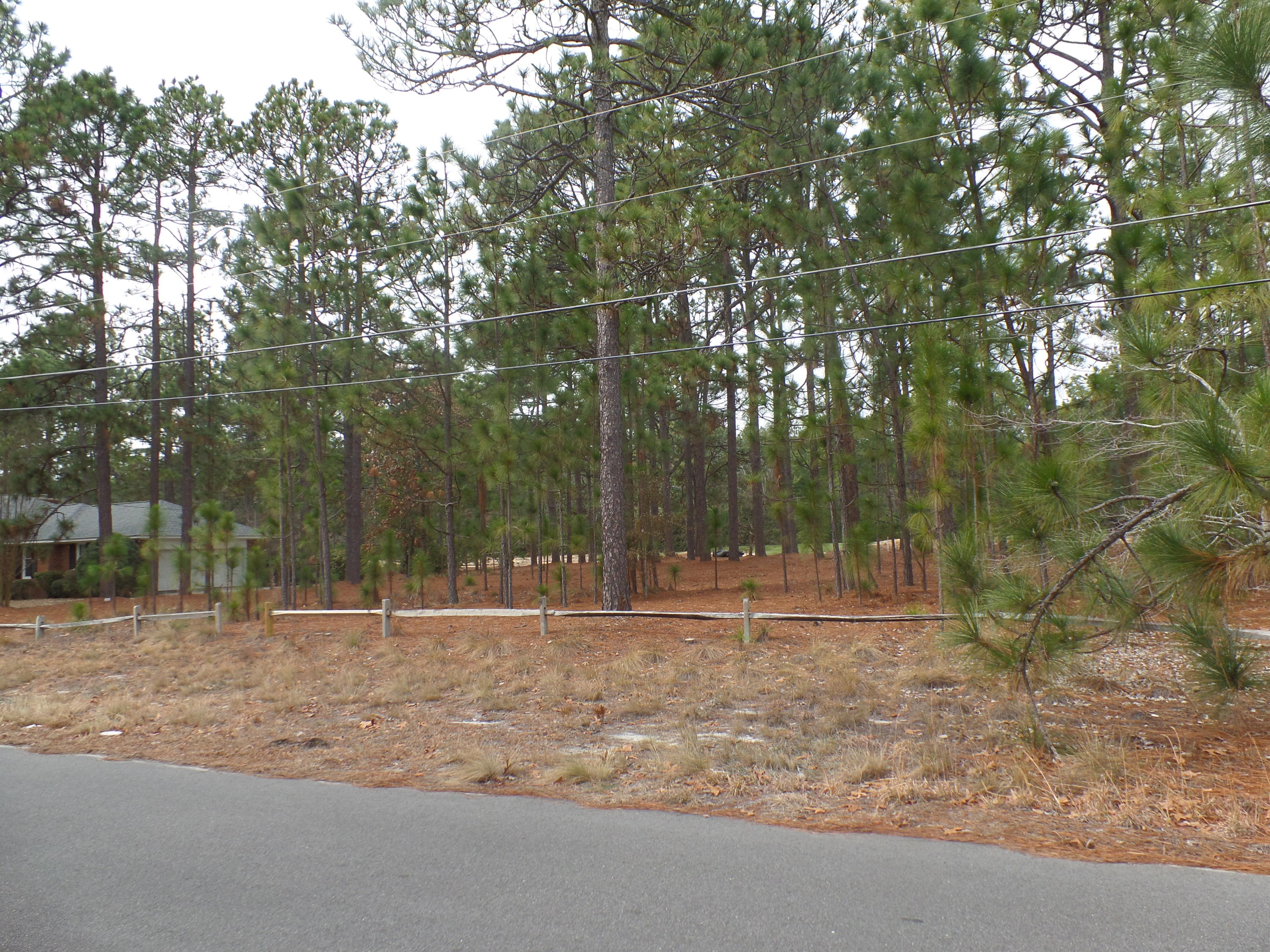 Tbd Longleaf Road Southern Pines, NC 28387 - Photo 5 of 10 SAM_8696
