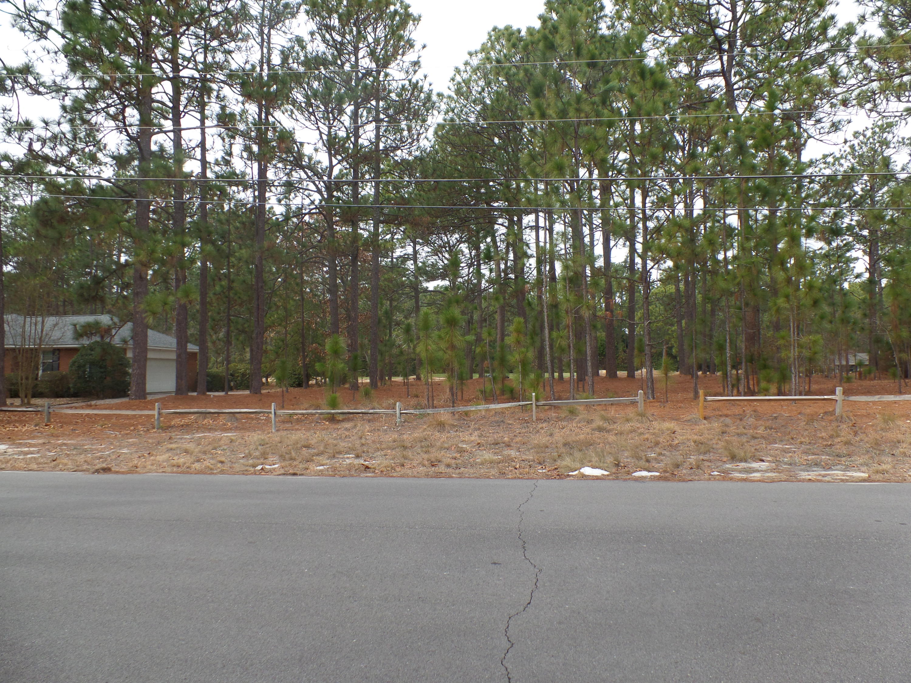 Tbd Longleaf Road Southern Pines, NC 28387 - Photo 6 of 10 SAM_8697