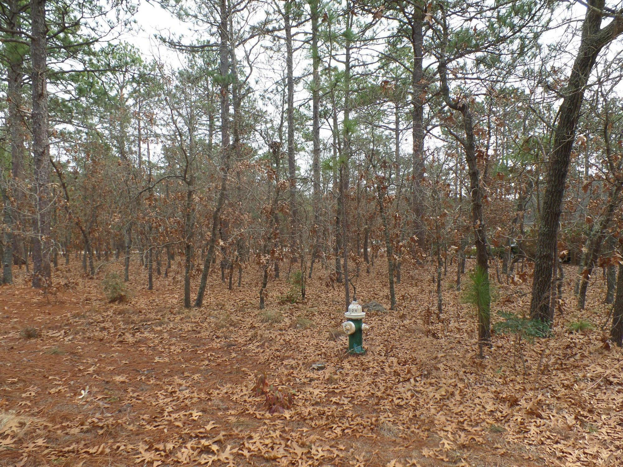 Tbd Longleaf Road Southern Pines, NC 28387 - Photo 7 of 10 SAM_8699
