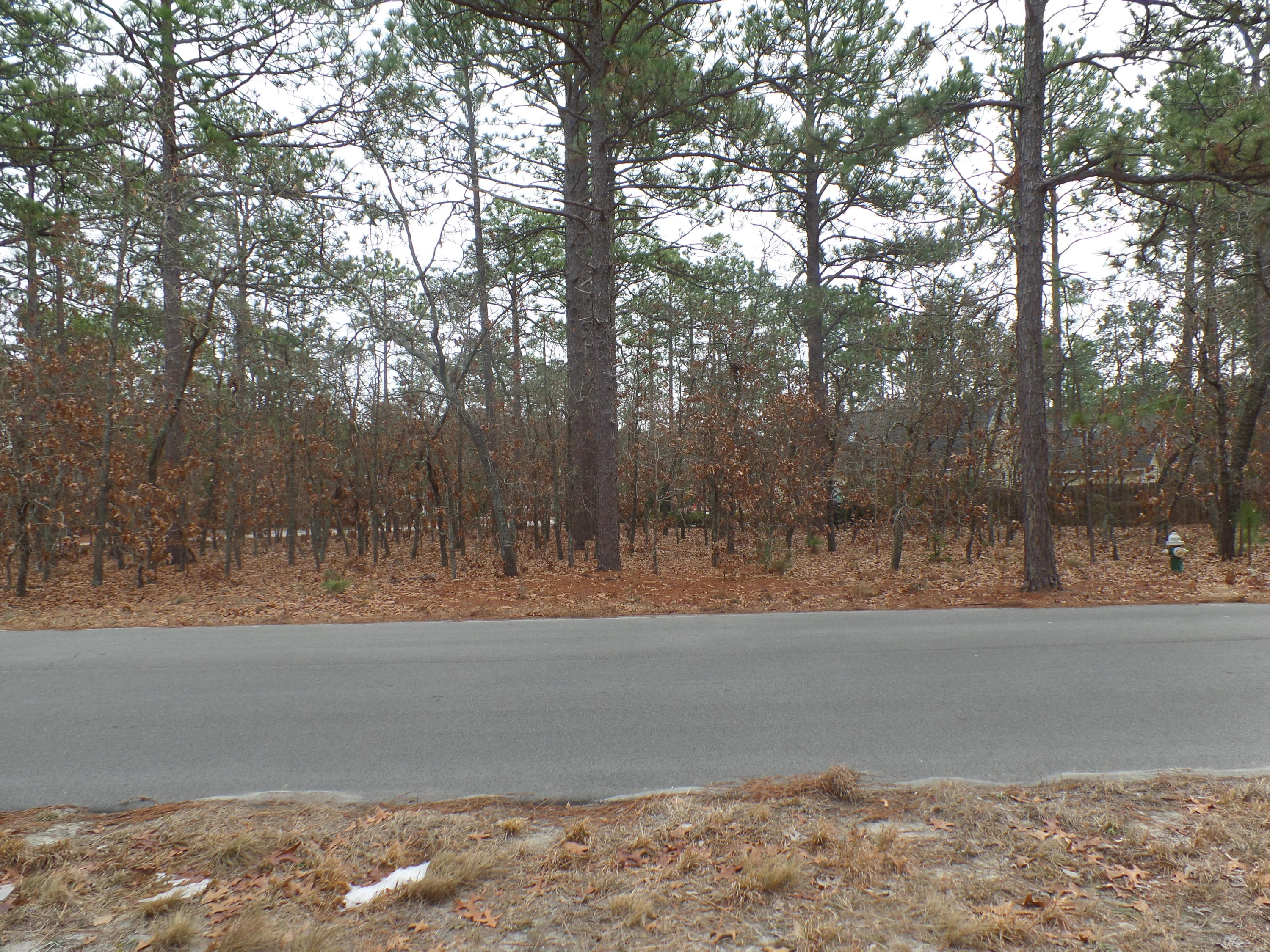 Tbd Longleaf Road Southern Pines, NC 28387 - Photo 9 of 10 SAM_8691