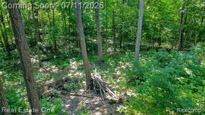 310 South Van Road Holly, MI 48442 - Photo 52 of 67