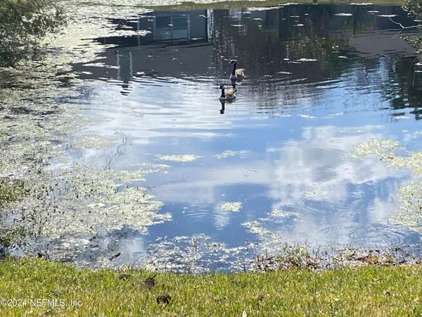 $1,950 | 11486 Kimberly Forest Drive, Jacksonville, FL 32246