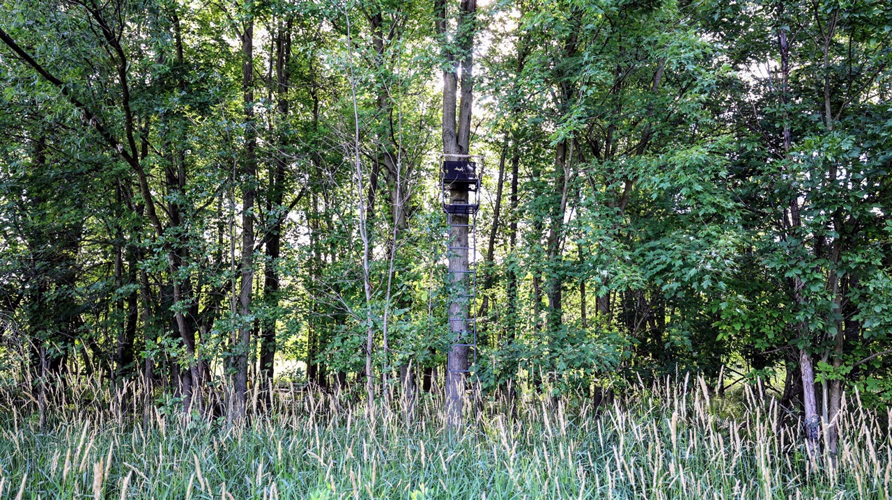 29 29 Mile Road Battle Creek, MI 49014 - Photo 13 of 48