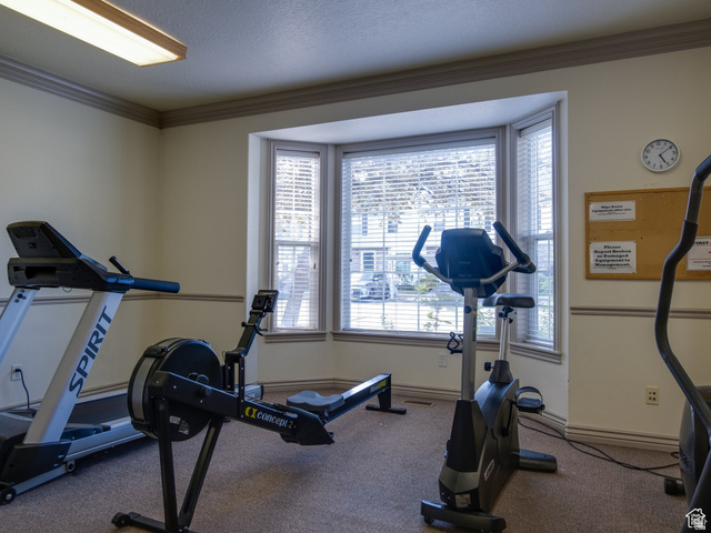 962 Independence Avenue Provo, UT 84604 - Photo 28 of 31 Workout room with ornamental molding