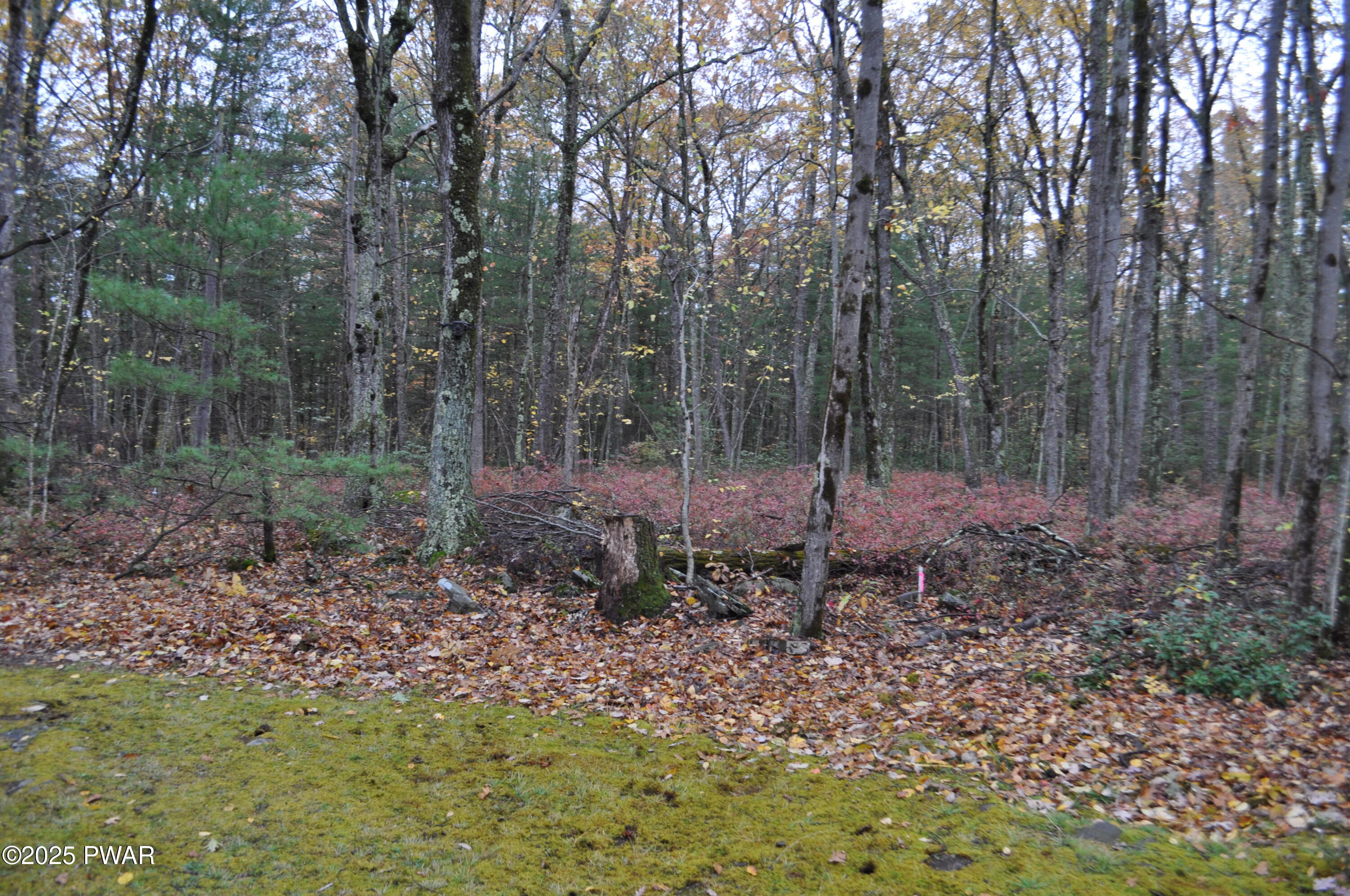 288 White Deer Lake Road Hawley, PA 18428 - Photo 10 of 28