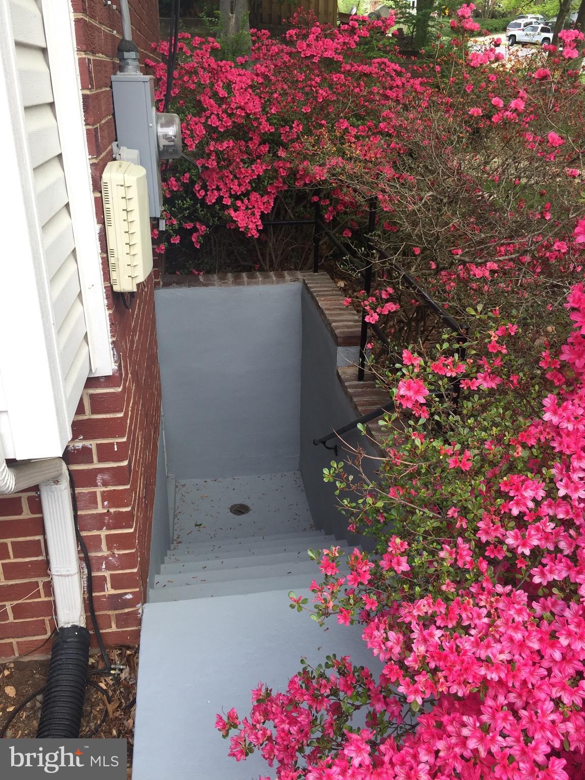 8508 Thames Street Springfield, VA 22151 - Photo 24 of 30 Exterior (General)