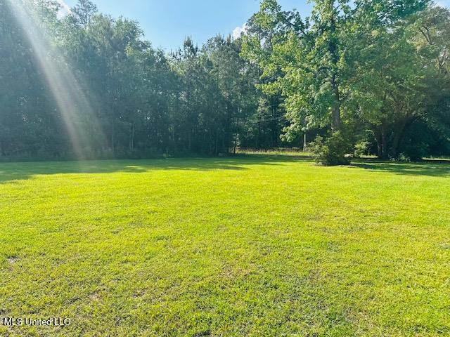113 Richardson Road Picayune, MS 39466 - Photo 23 of 25 86904B4D-11CE-40D6-BE27-CC4DF0005ABA
