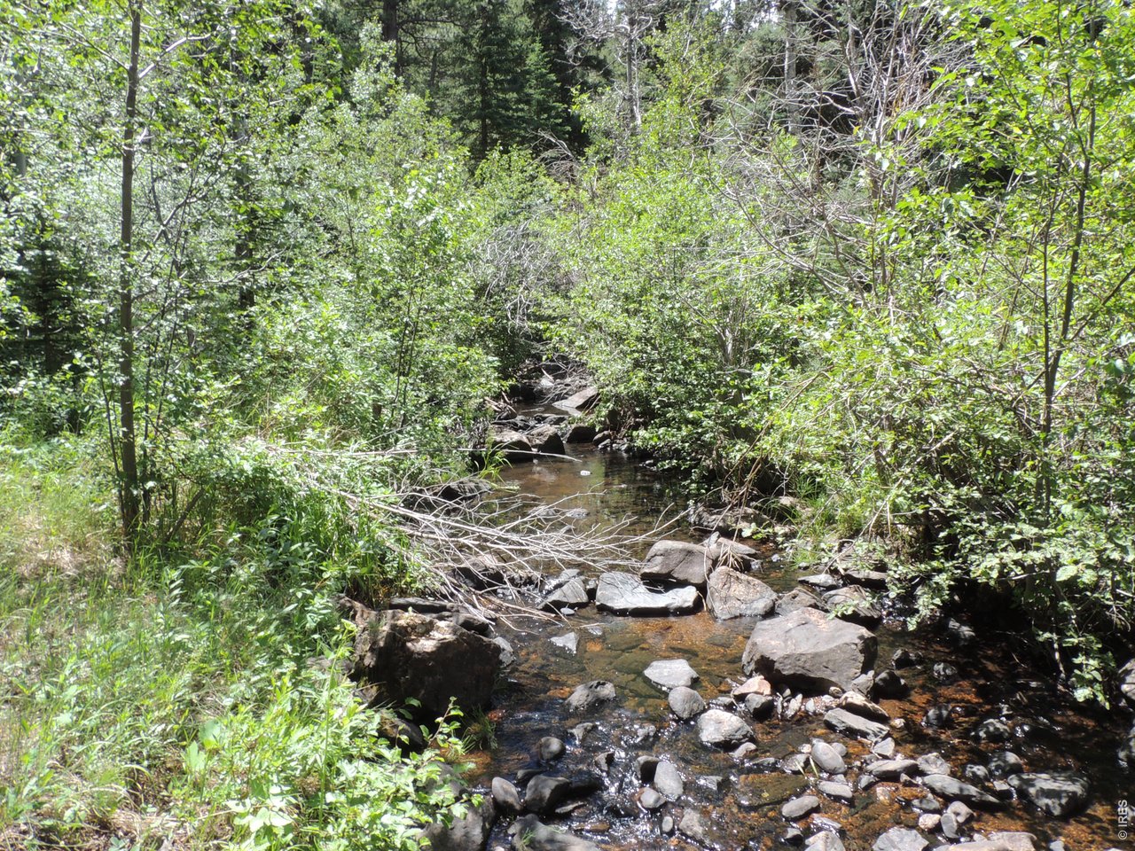 2300 Red Ashby Road Livermore, CO 80536 - Photo 28 of 32 Trail Creek is at lowest level in over 50 years