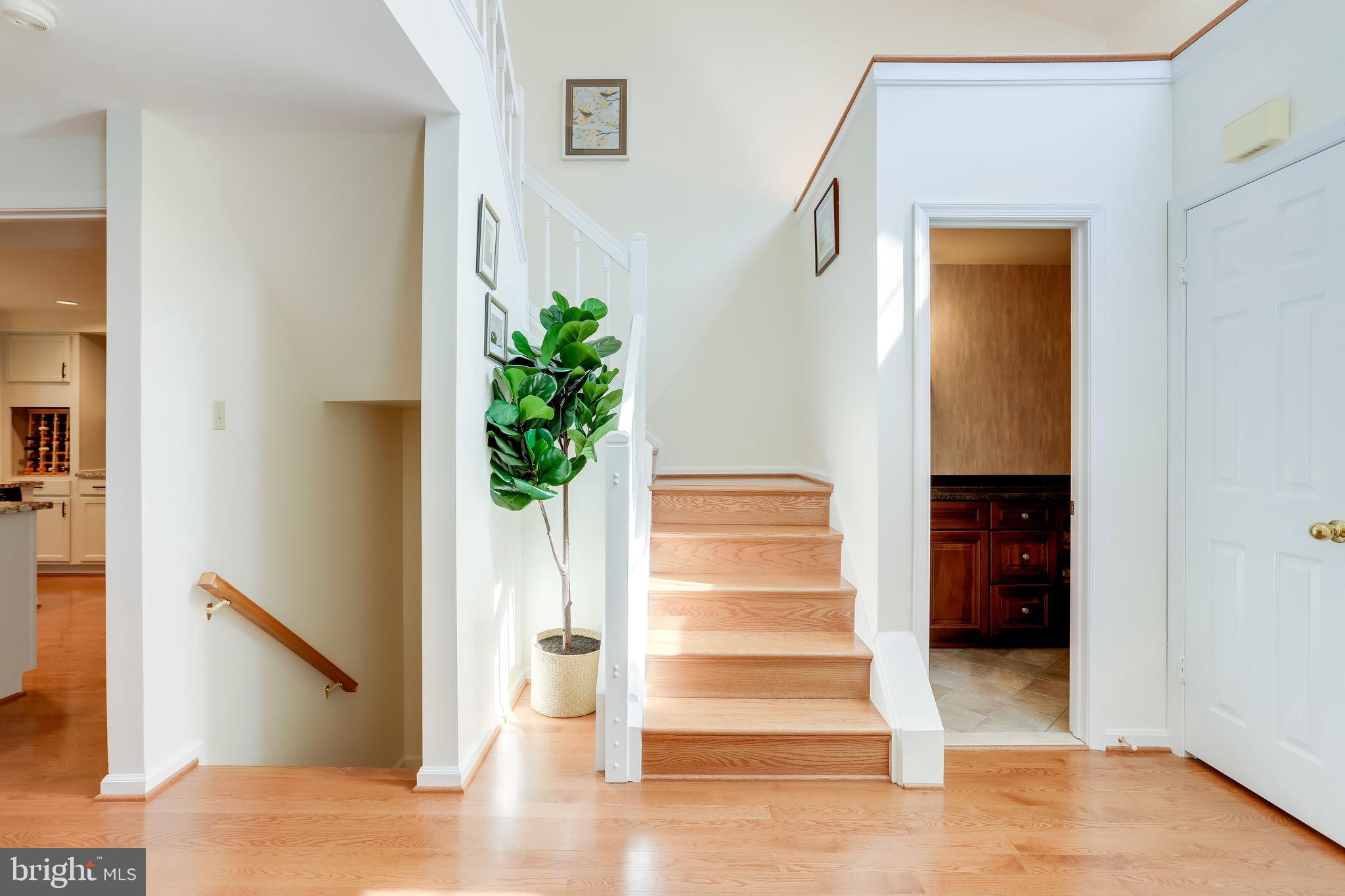 1512 Deer Point Way Reston, VA 20194 - Photo 2 of 84 Bright & open foyer with skylights