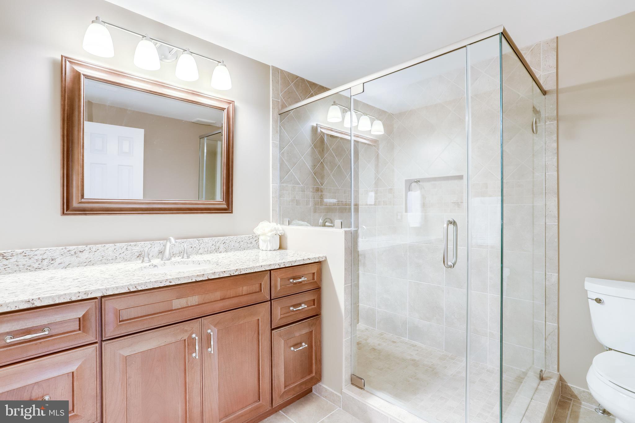 1512 Deer Point Way Reston, VA 20194 - Photo 38 of 84 Huge Frameless shower