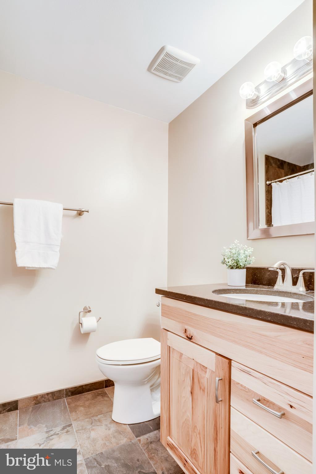 1512 Deer Point Way Reston, VA 20194 - Photo 43 of 84 Renovated Guest Bath