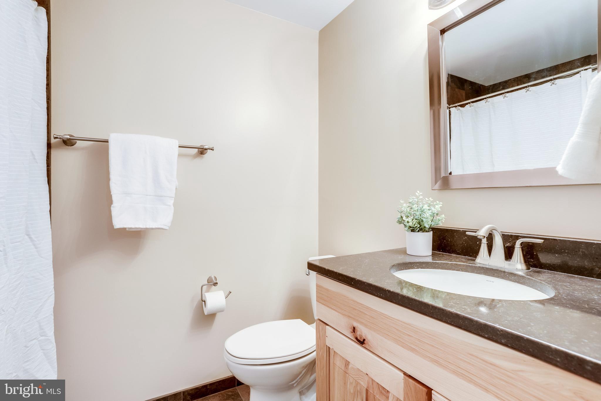 1512 Deer Point Way Reston, VA 20194 - Photo 44 of 84
