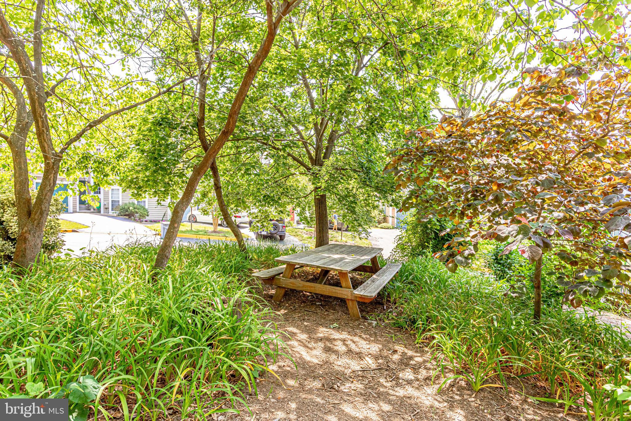 1512 Deer Point Way Reston, VA 20194 - Photo 70 of 84 picnic area