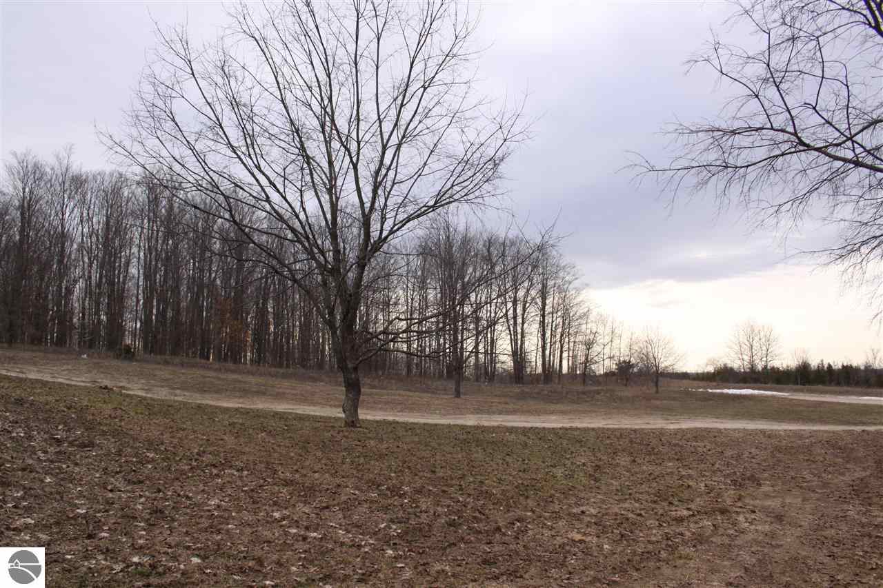 3353 East 2 1/2 Road Kingsley, MI 49649 - Photo 12 of 48 1783353-11.JPG