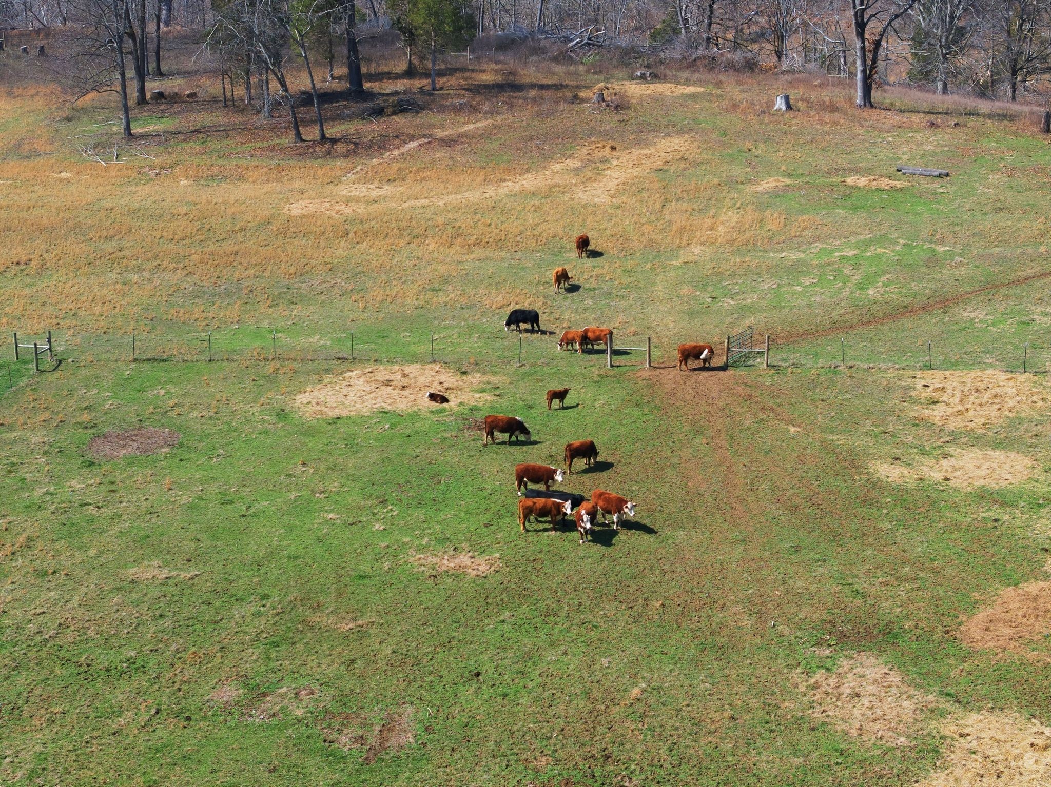 638 Howell Road Westmoreland, TN 37186 - Photo 40 of 41 a bathroom with a sink