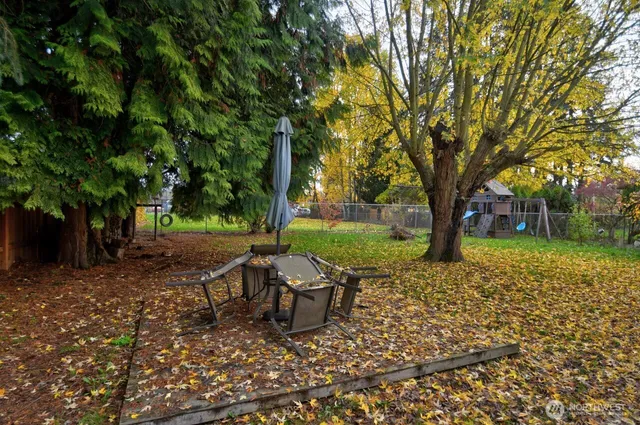 a view of a yard with plants and trees