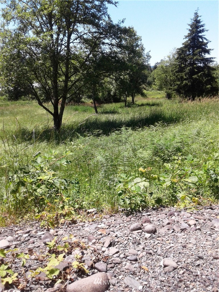 615 Flynn Road Silver Creek, WA 98585 - Photo 14 of 17 Gallery Image 14