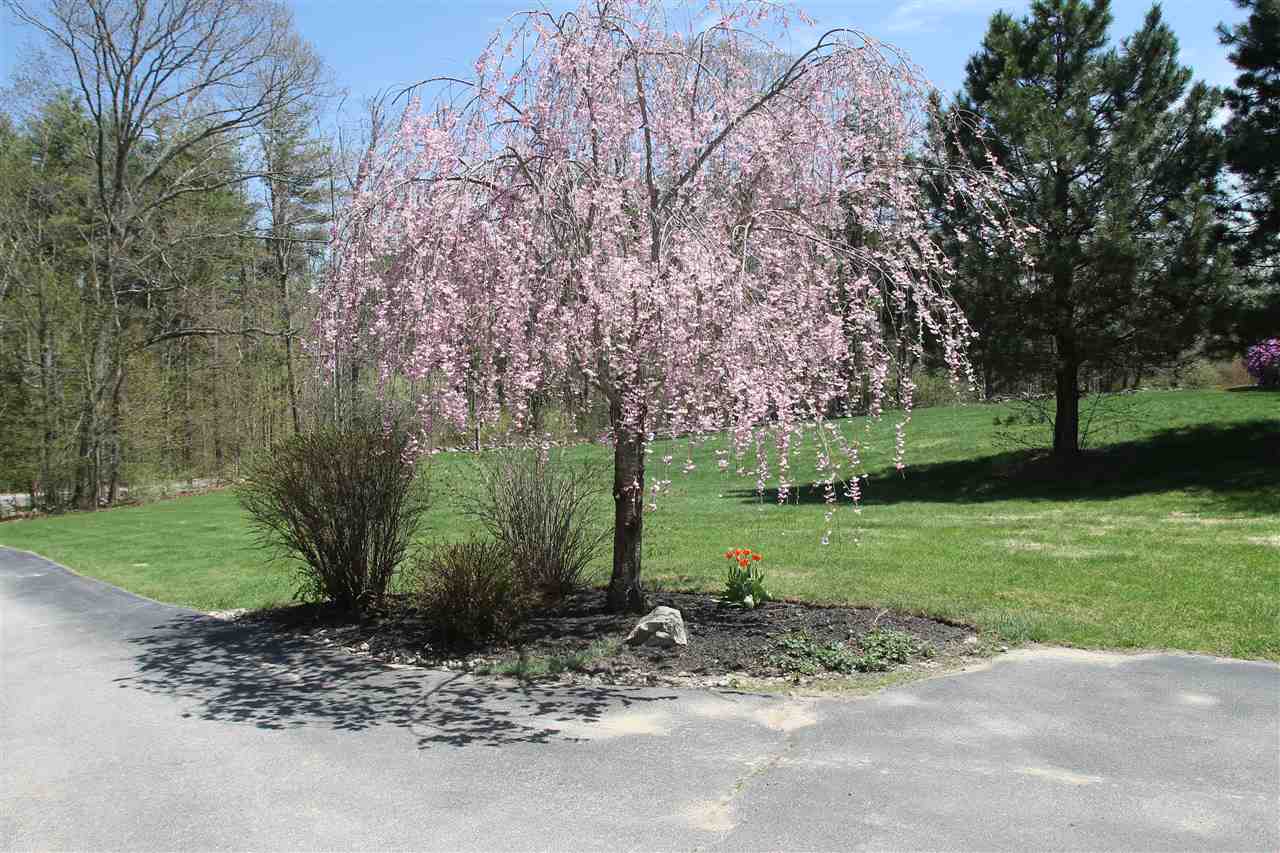 236 Kennedy Hill Road Goffstown, NH 03045 - Photo 25 of 31 Gallery Image 25