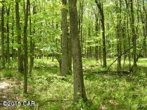 26 Oak Ridge Jim Thorpe, PA 18229 - Photo 1 of 1 Lot view