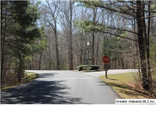 Cheshire Lane Pelham, AL 35124 - Photo 4 of 17