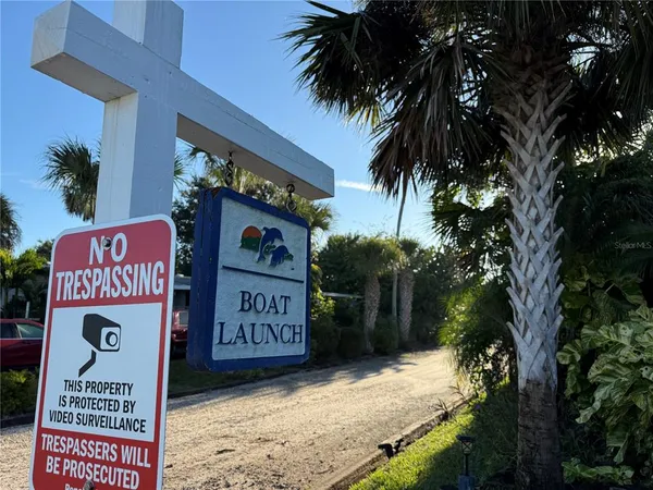 a view of a yard with plants and trees