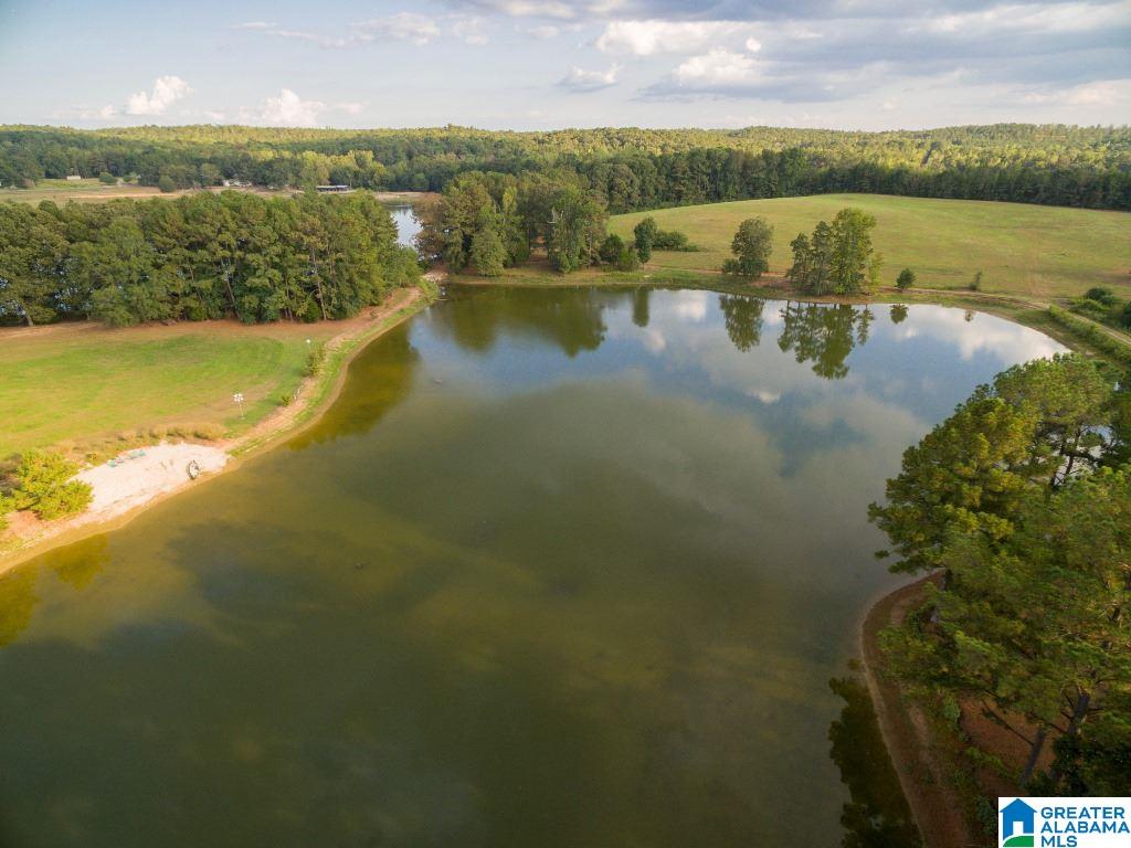 2307 County Road 46 Montevallo, AL 35115 - Photo 36 of 45