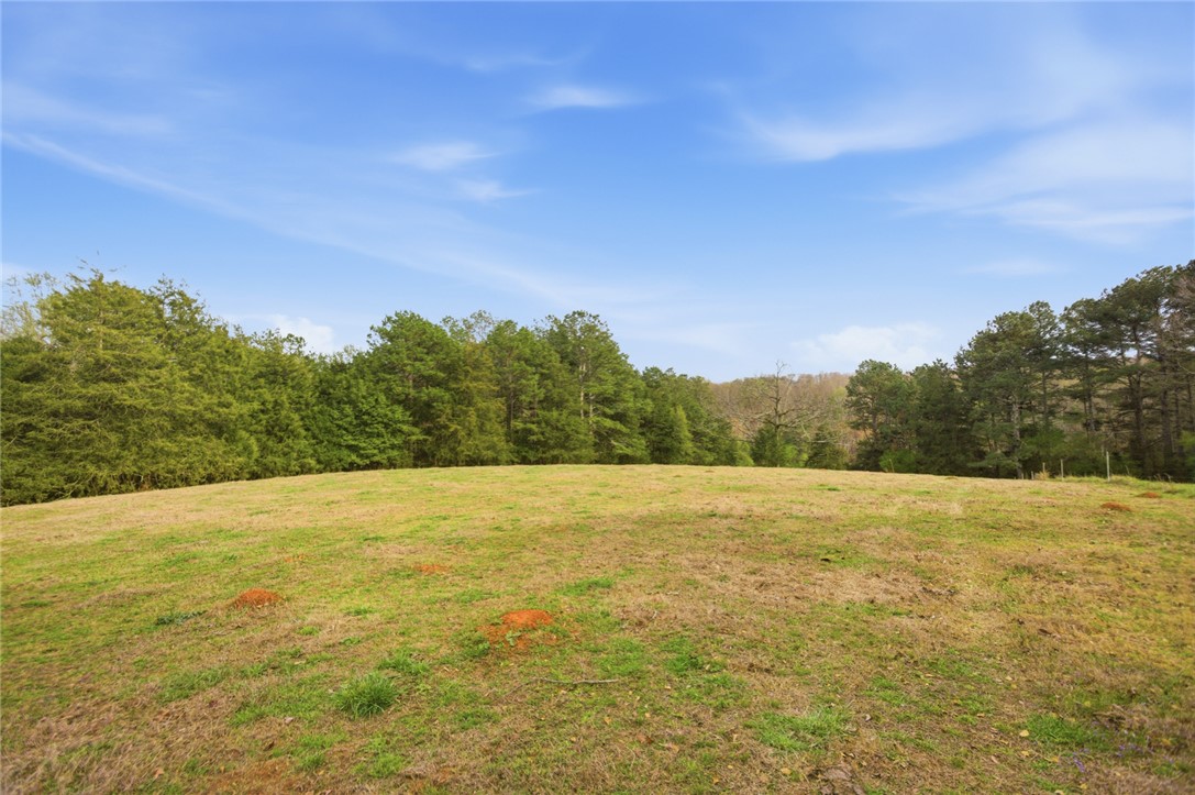 426 Oak Creek Road Seneca, SC 29678 - Photo 38 of 50 Expansive green pasture with a lush tree line under a clear, bright sky.
