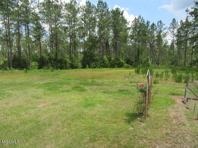 189 Steve Williams Road Lucedale, MS 39452 - Photo 18 of 18 18
