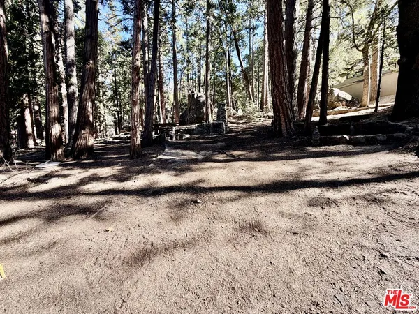 $2,299 | 25890 Wayne Road, Idyllwild, CA 92549