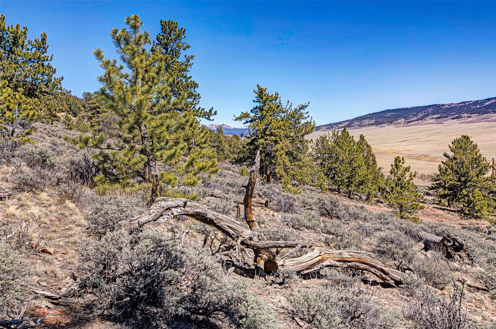 3129 Redhill Road Fairplay, CO 80440 - Photo 11 of 48