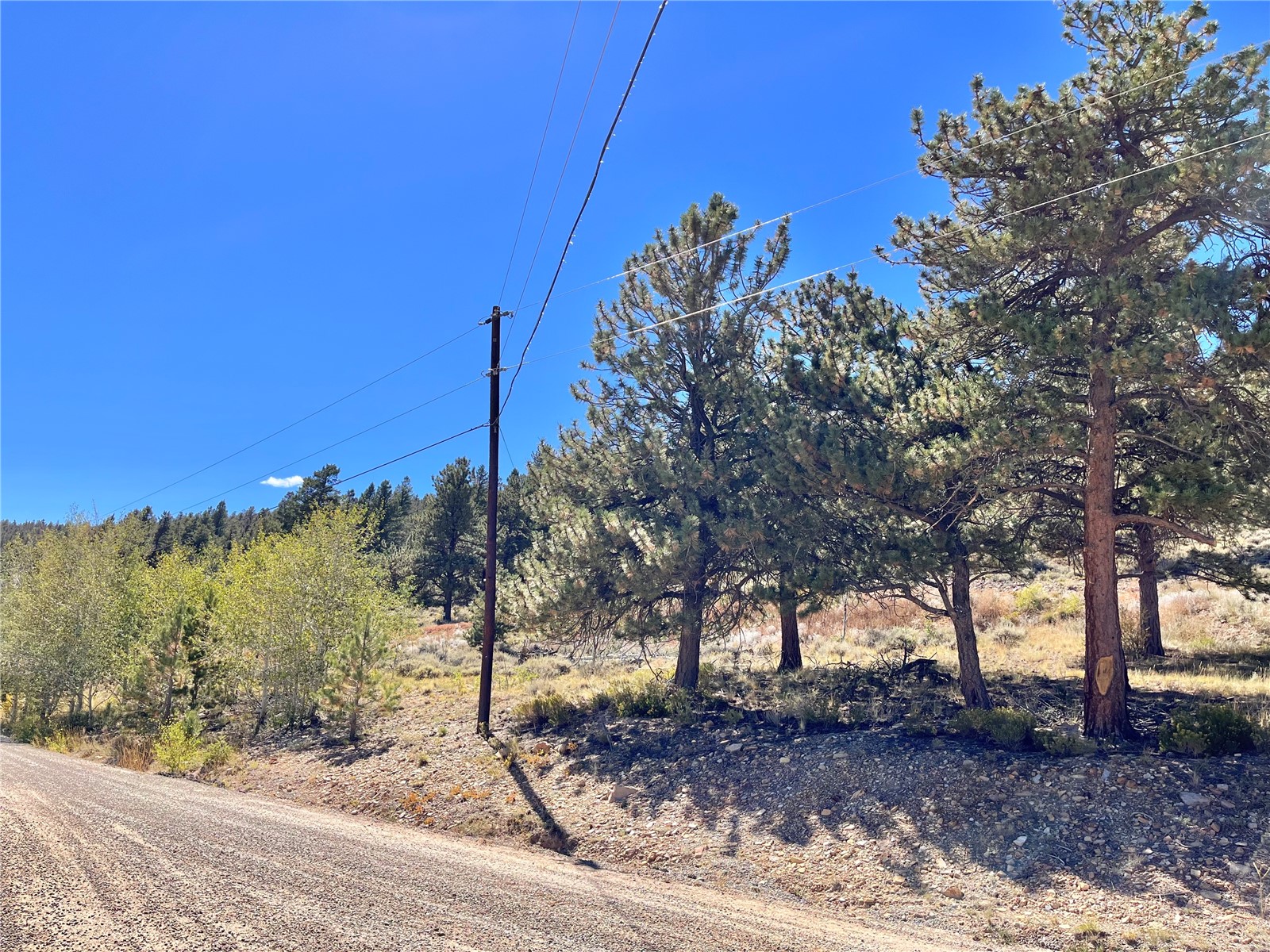 3129 Redhill Road Fairplay, CO 80440 - Photo 13 of 48