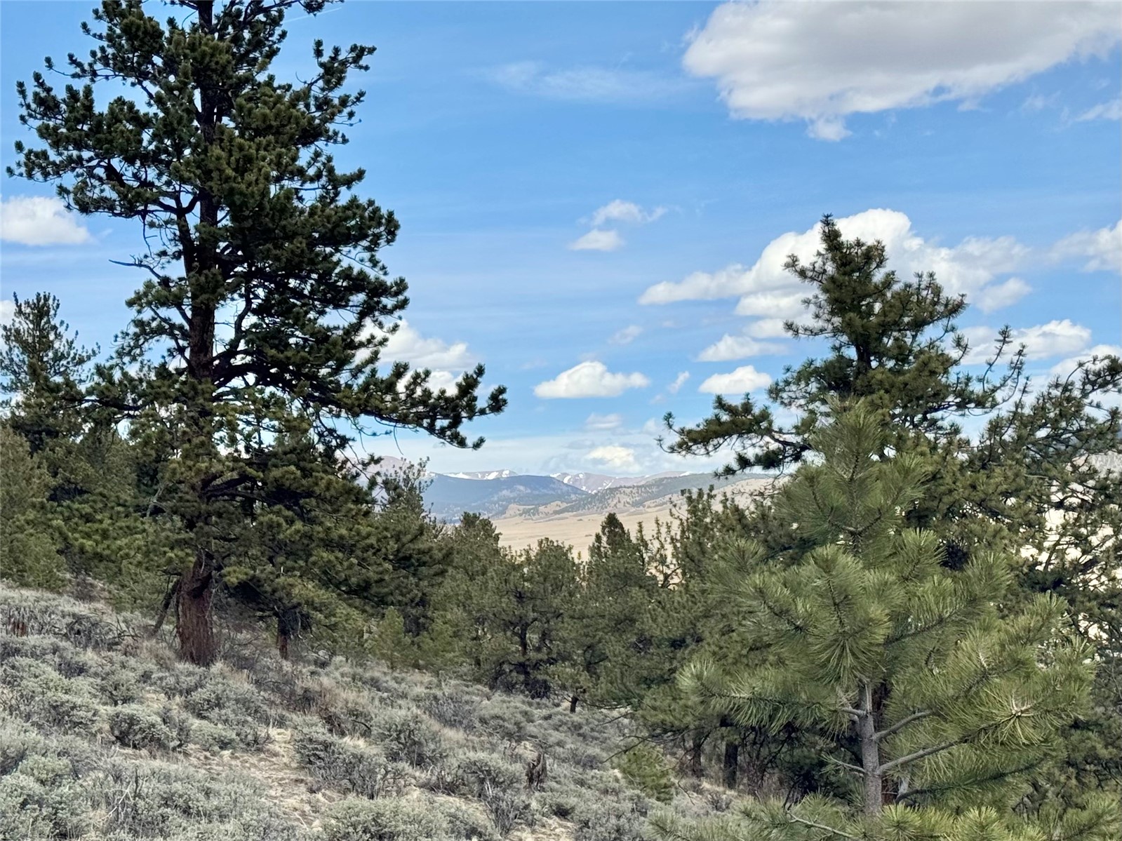 3129 Redhill Road Fairplay, CO 80440 - Photo 18 of 48