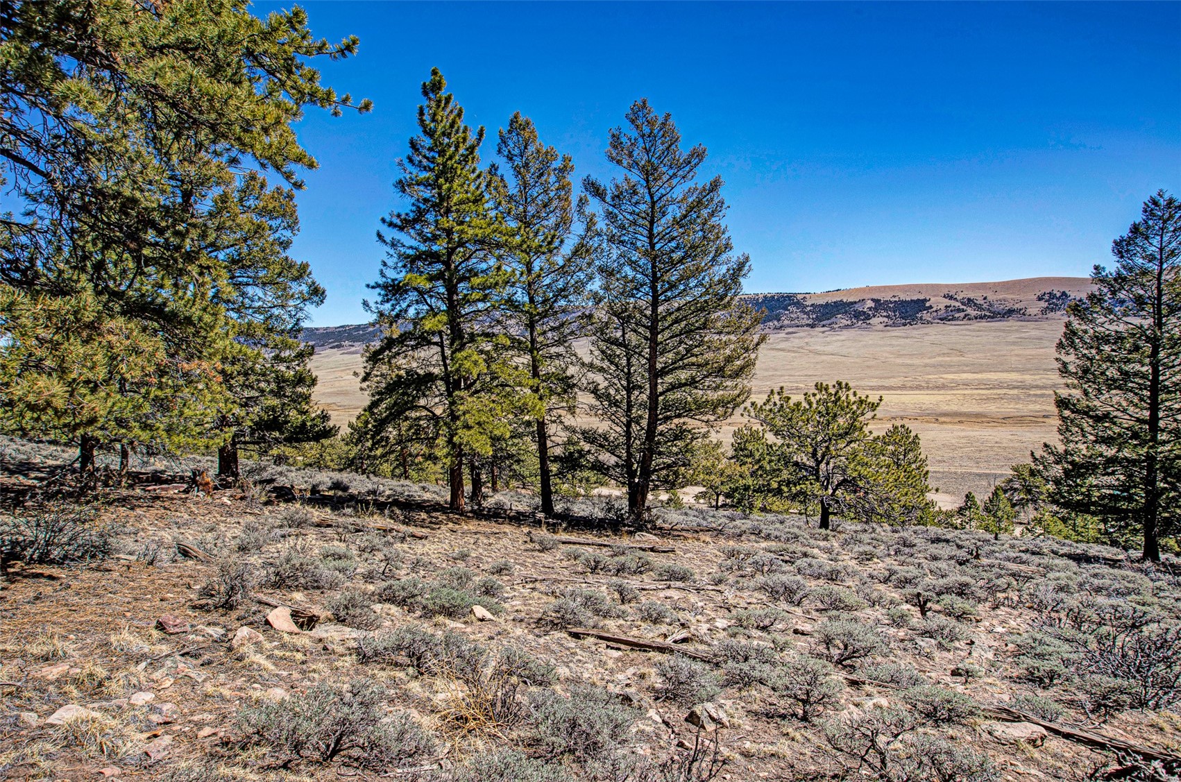 3129 Redhill Road Fairplay, CO 80440 - Photo 19 of 48