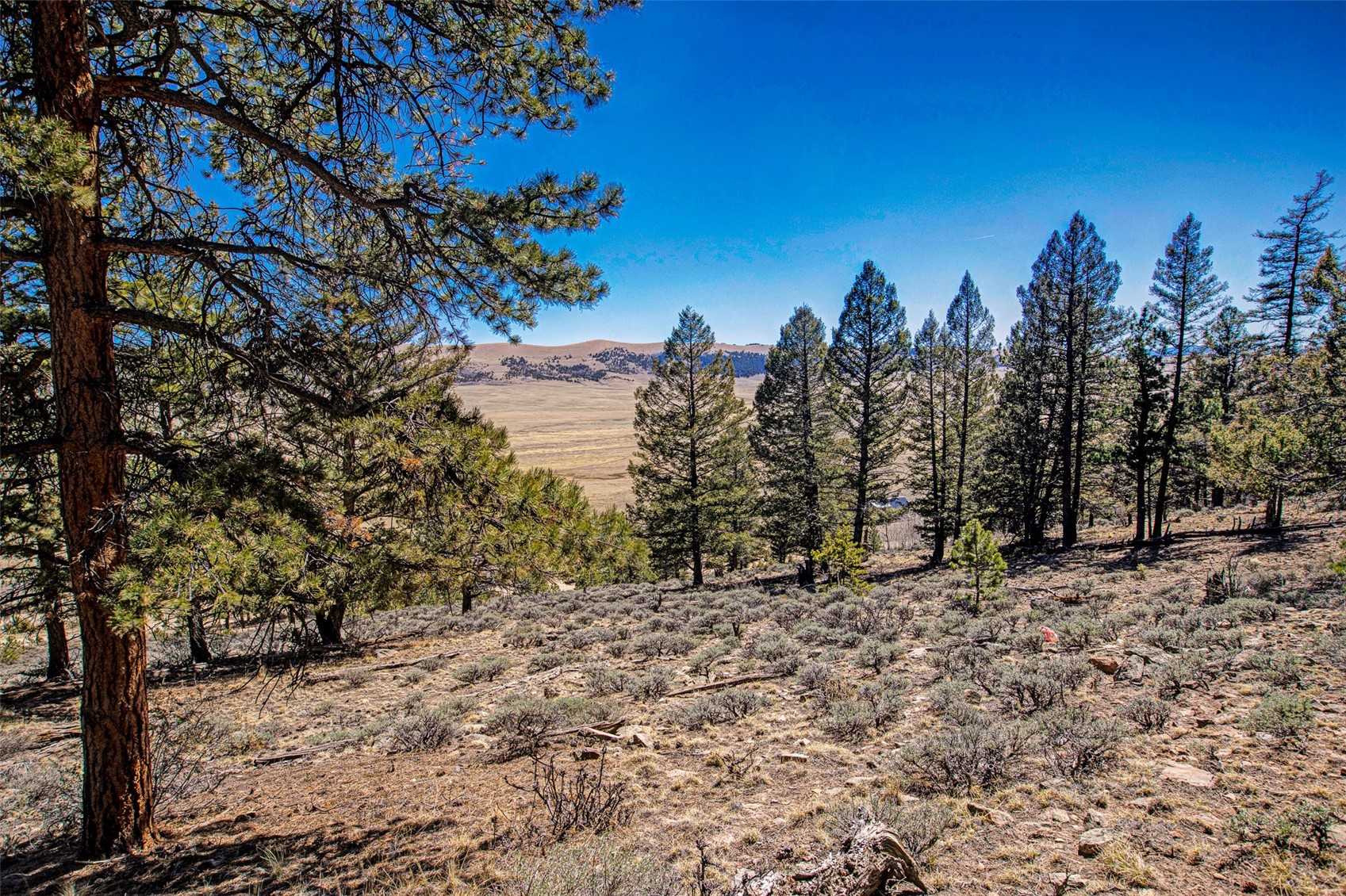 3129 Redhill Road Fairplay, CO 80440 - Photo 20 of 48