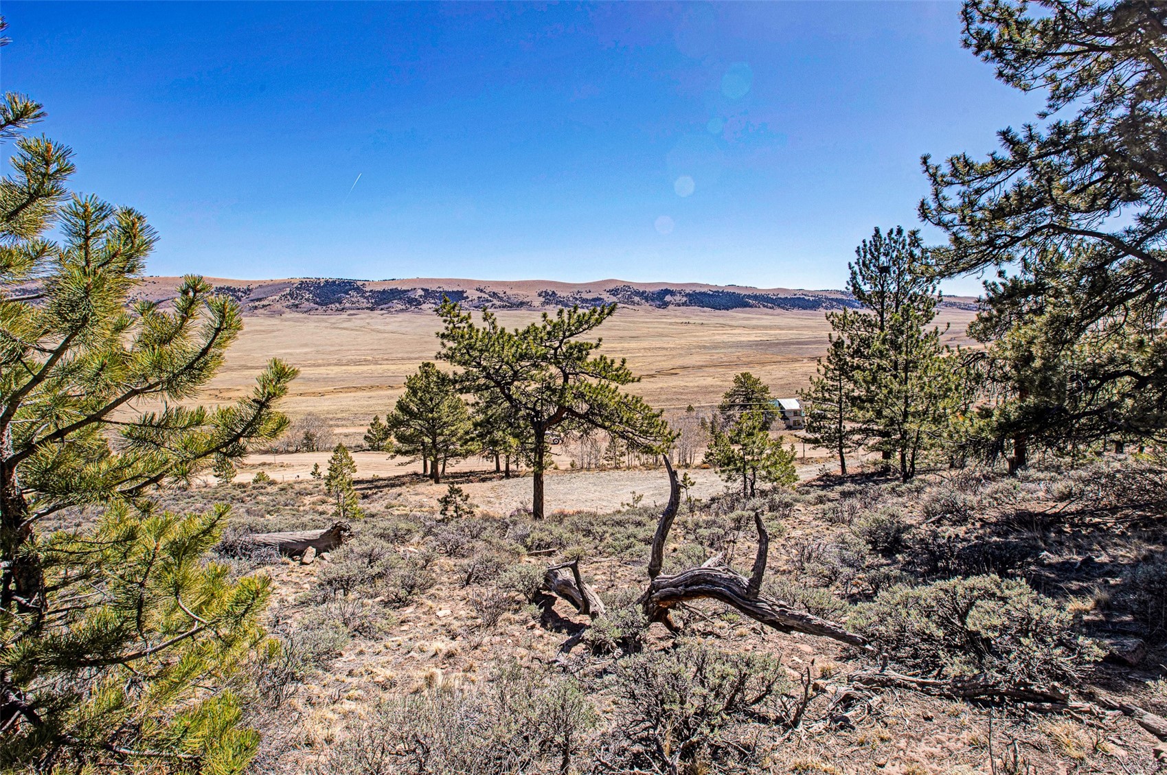 3129 Redhill Road Fairplay, CO 80440 - Photo 2 of 48