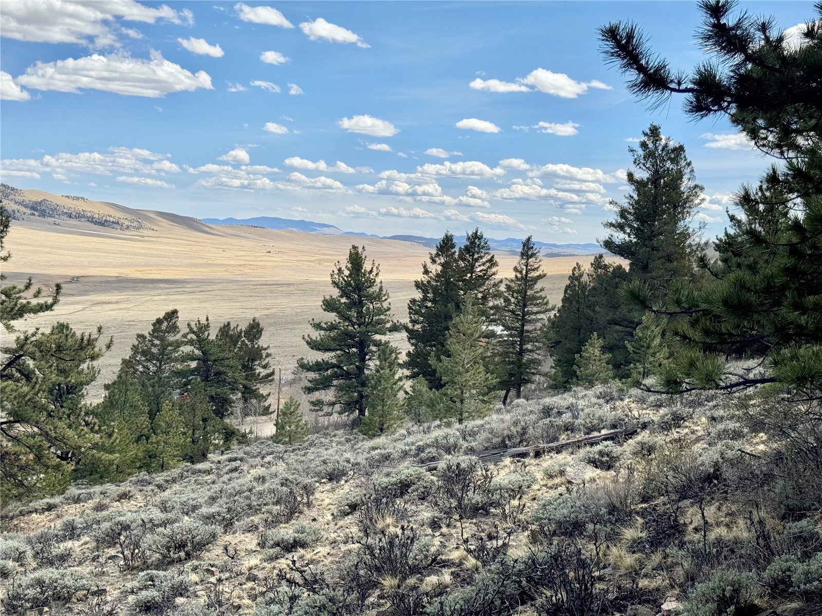 3129 Redhill Road Fairplay, CO 80440 - Photo 24 of 48