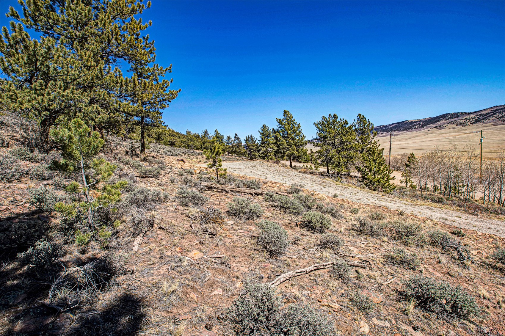 3129 Redhill Road Fairplay, CO 80440 - Photo 25 of 48