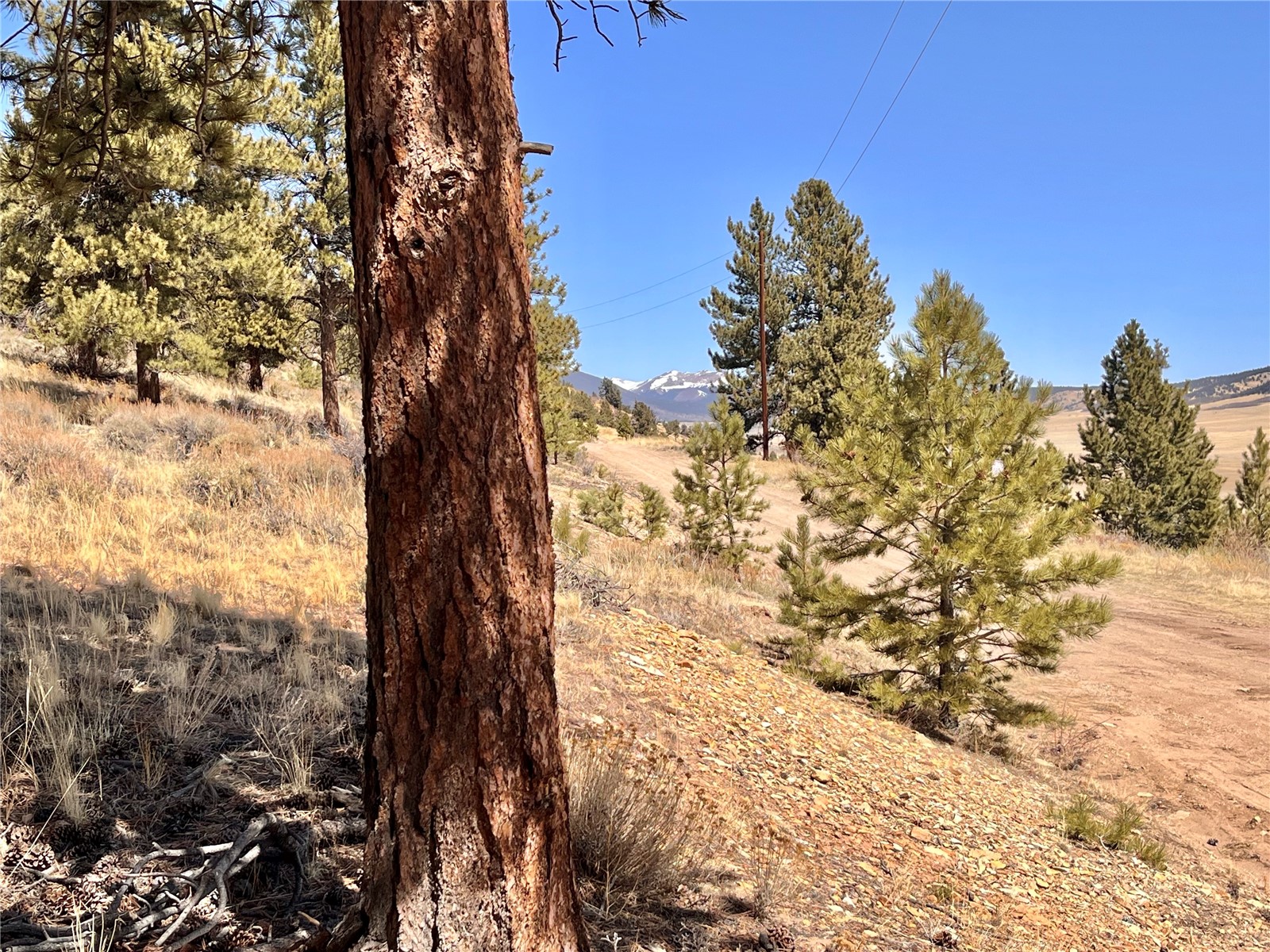 3129 Redhill Road Fairplay, CO 80440 - Photo 27 of 48