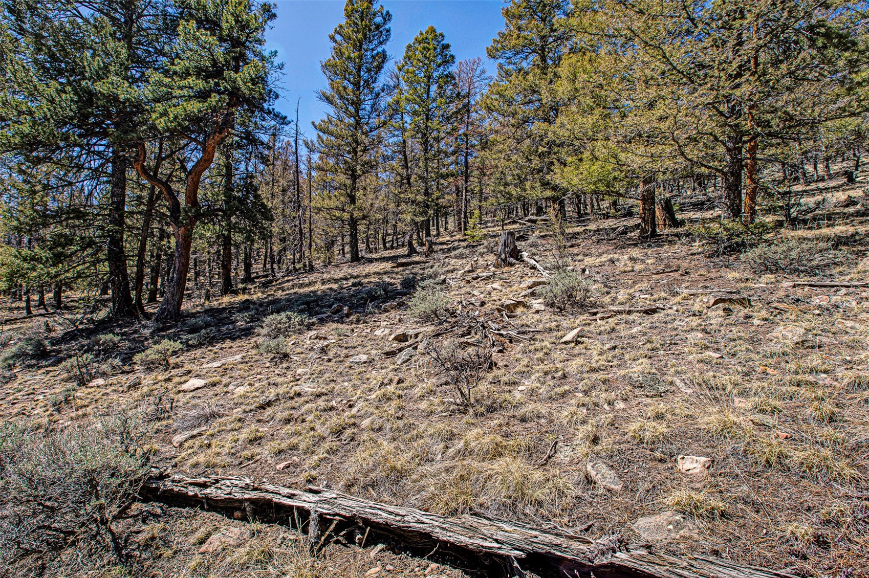 3129 Redhill Road Fairplay, CO 80440 - Photo 29 of 48