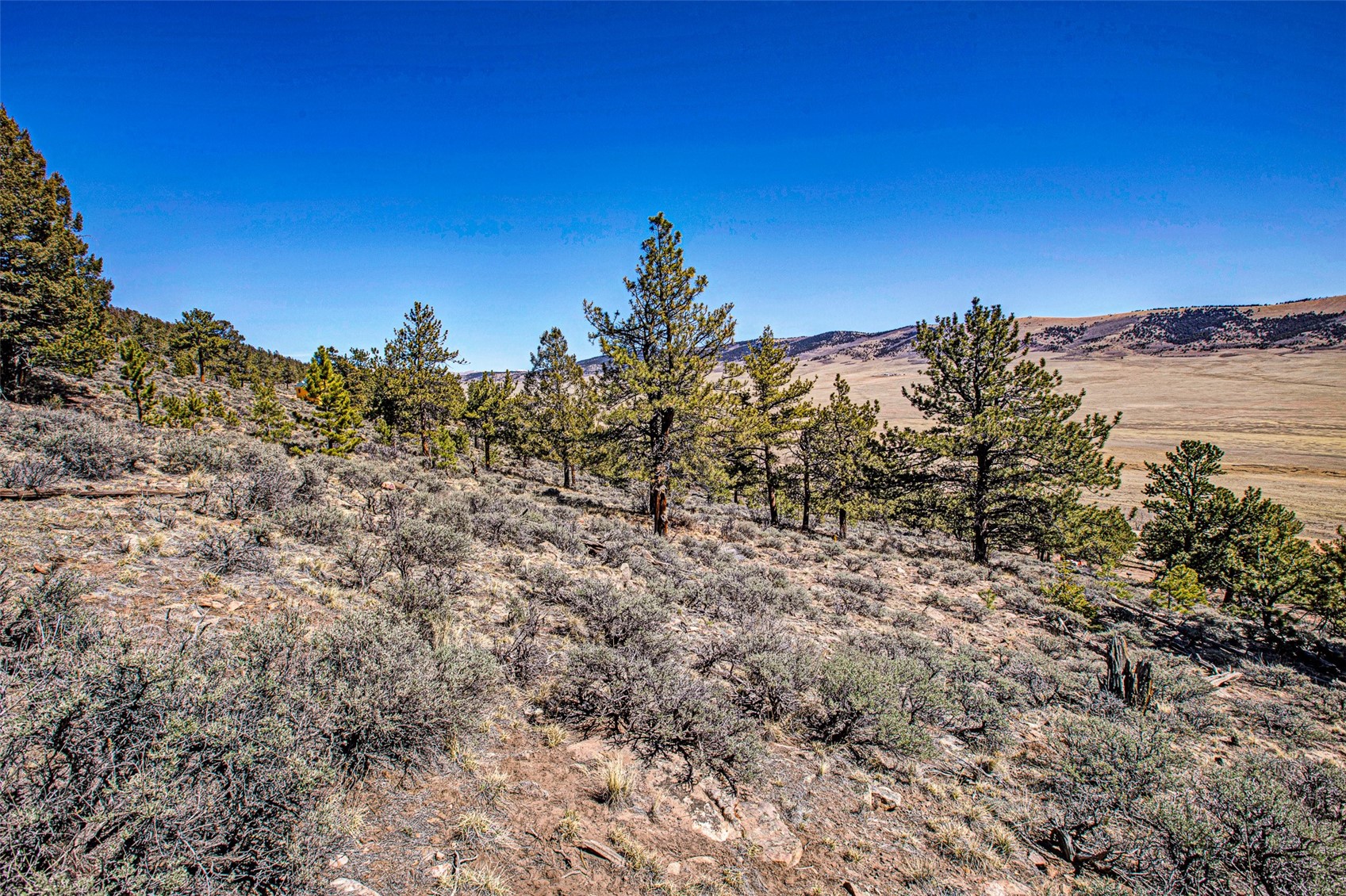 3129 Redhill Road Fairplay, CO 80440 - Photo 30 of 48