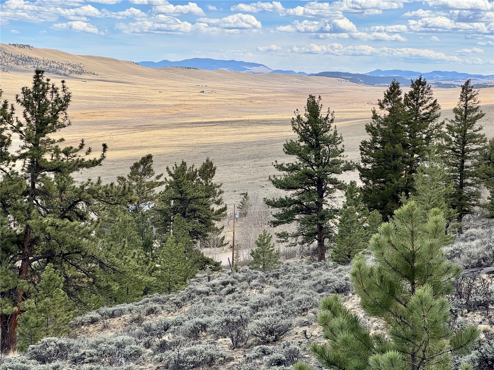 3129 Redhill Road Fairplay, CO 80440 - Photo 3 of 48