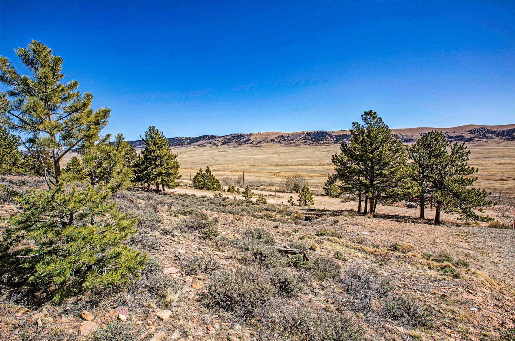 3129 Redhill Road Fairplay, CO 80440 - Photo 33 of 48