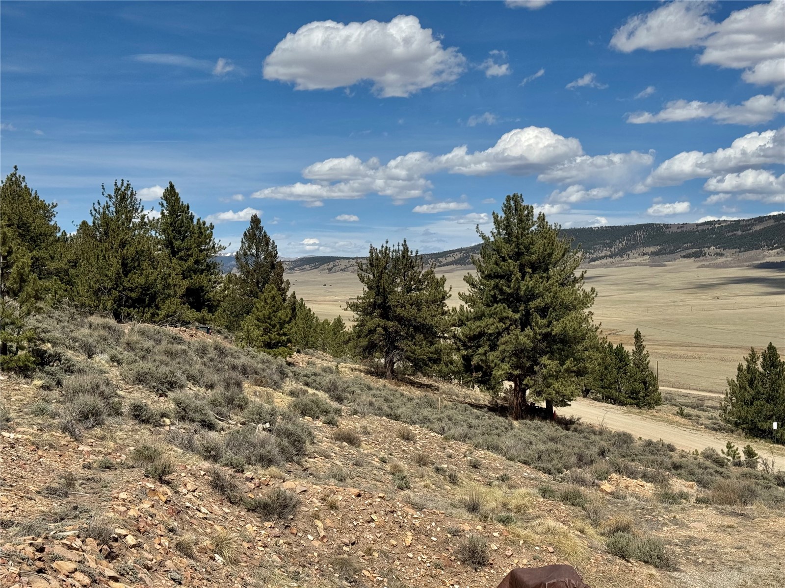 3129 Redhill Road Fairplay, CO 80440 - Photo 35 of 48