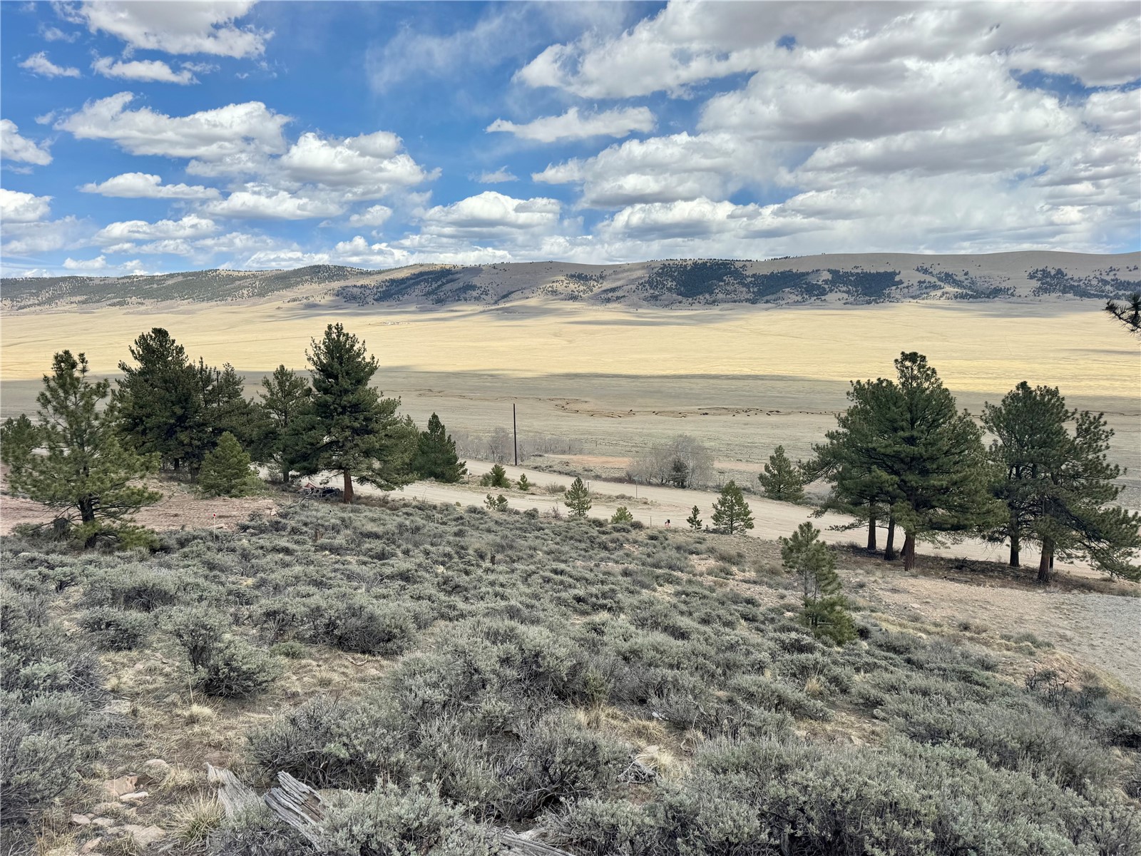 3129 Redhill Road Fairplay, CO 80440 - Photo 36 of 48