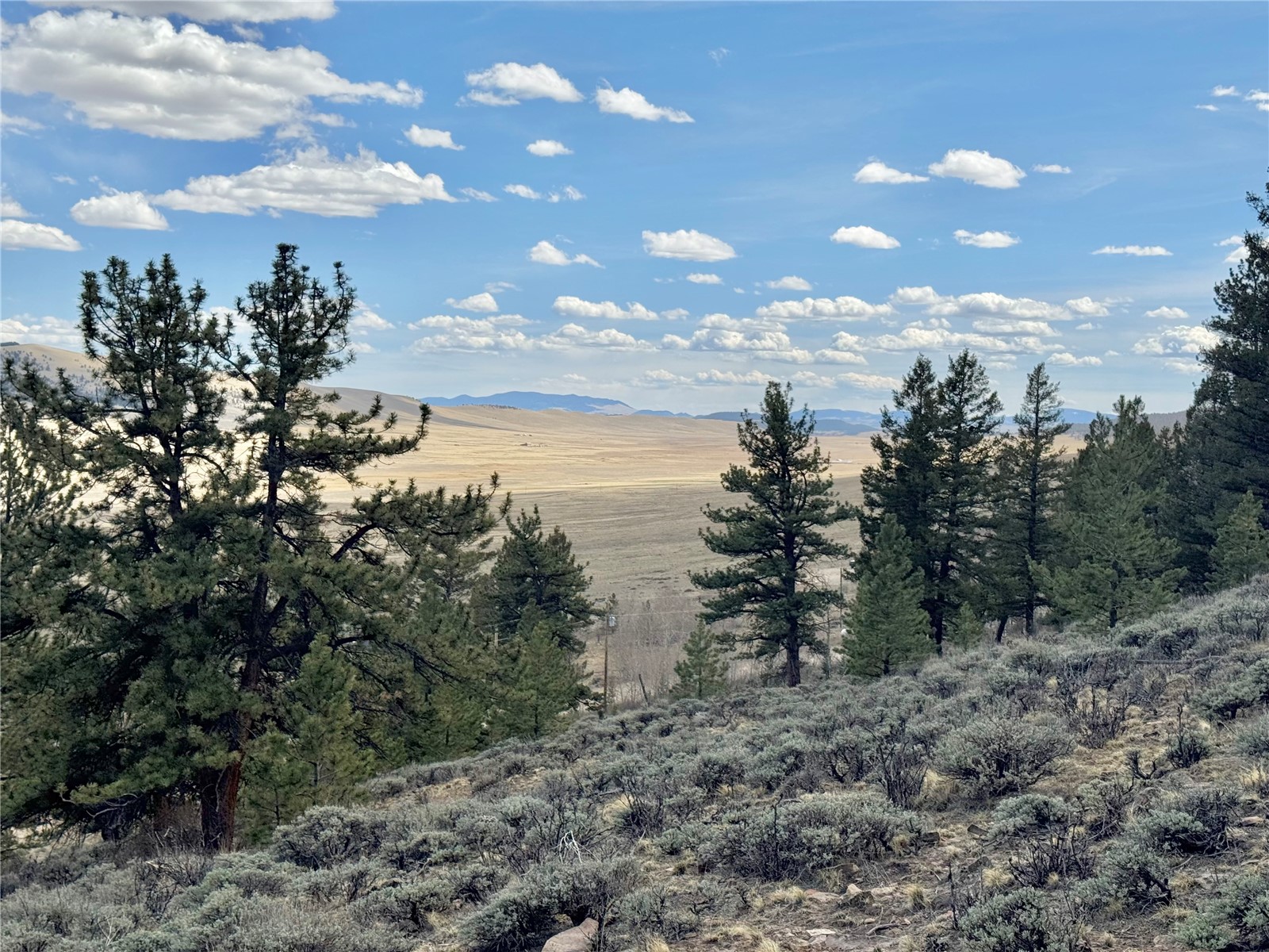 3129 Redhill Road Fairplay, CO 80440 - Photo 38 of 48