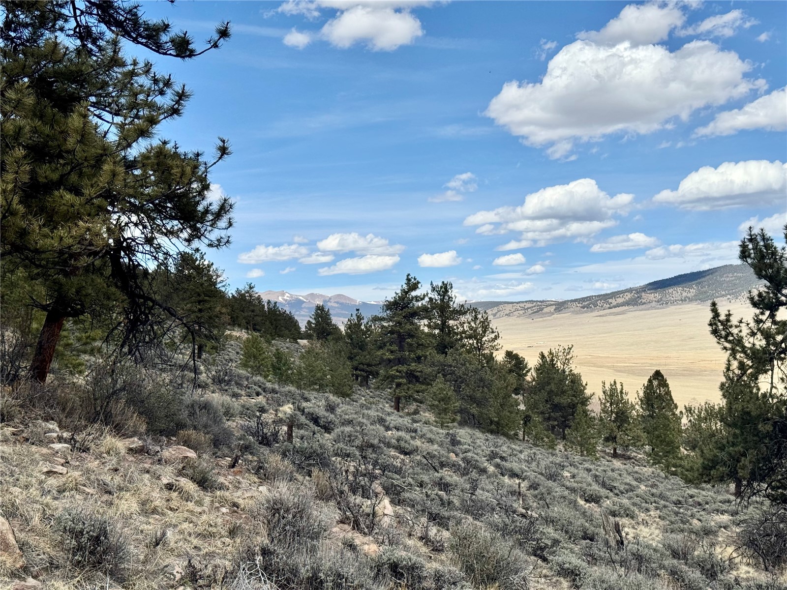 3129 Redhill Road Fairplay, CO 80440 - Photo 39 of 48